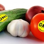 GMO