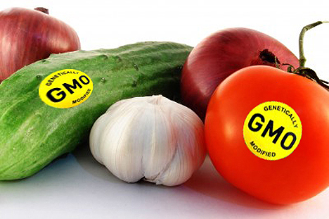 GMO