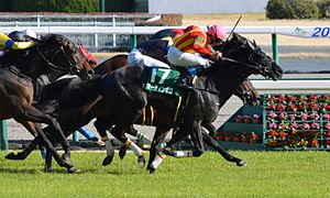 中日新聞杯