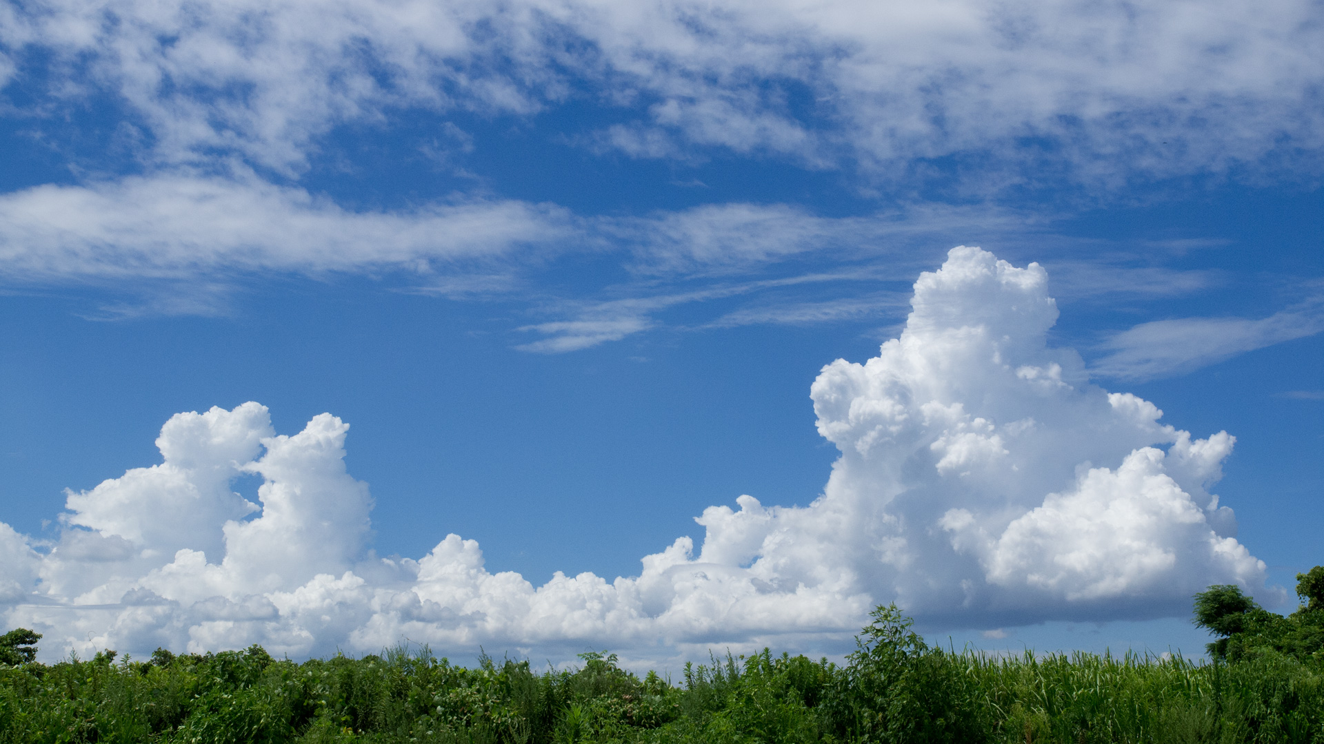 入道雲