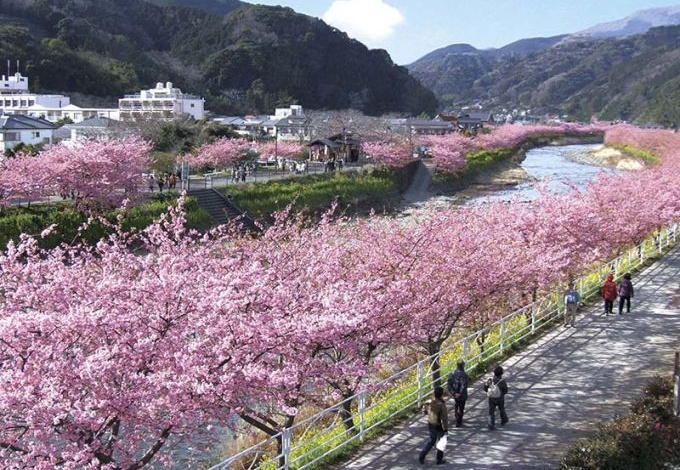 河津町