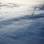 風雪