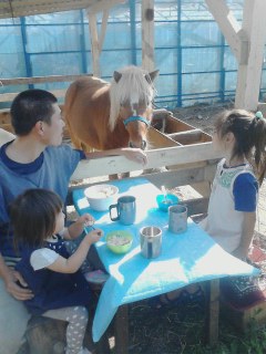 馬カフェ