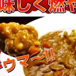 ダイエット食品