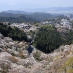 吉野山