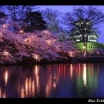 観桜会