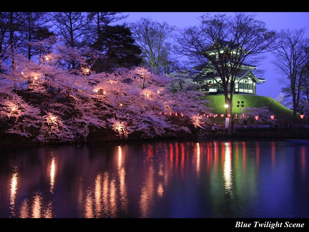 観桜会