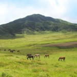 阿蘇山